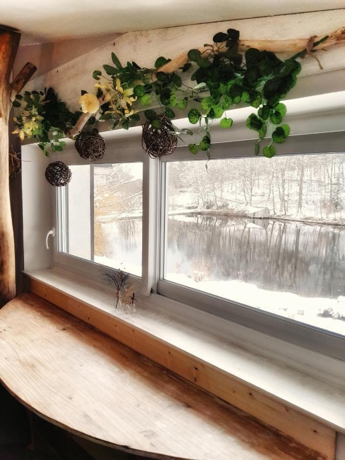 Le Crusoe A L'Etang D'Anty - Appartement Saint-Nabord Екстериор снимка