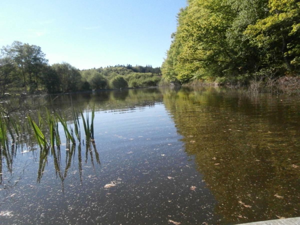 Le Crusoe A L'Etang D'Anty - Appartement Saint-Nabord Екстериор снимка